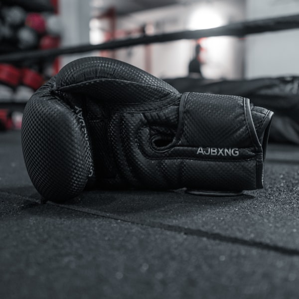 14oz Training Gloves